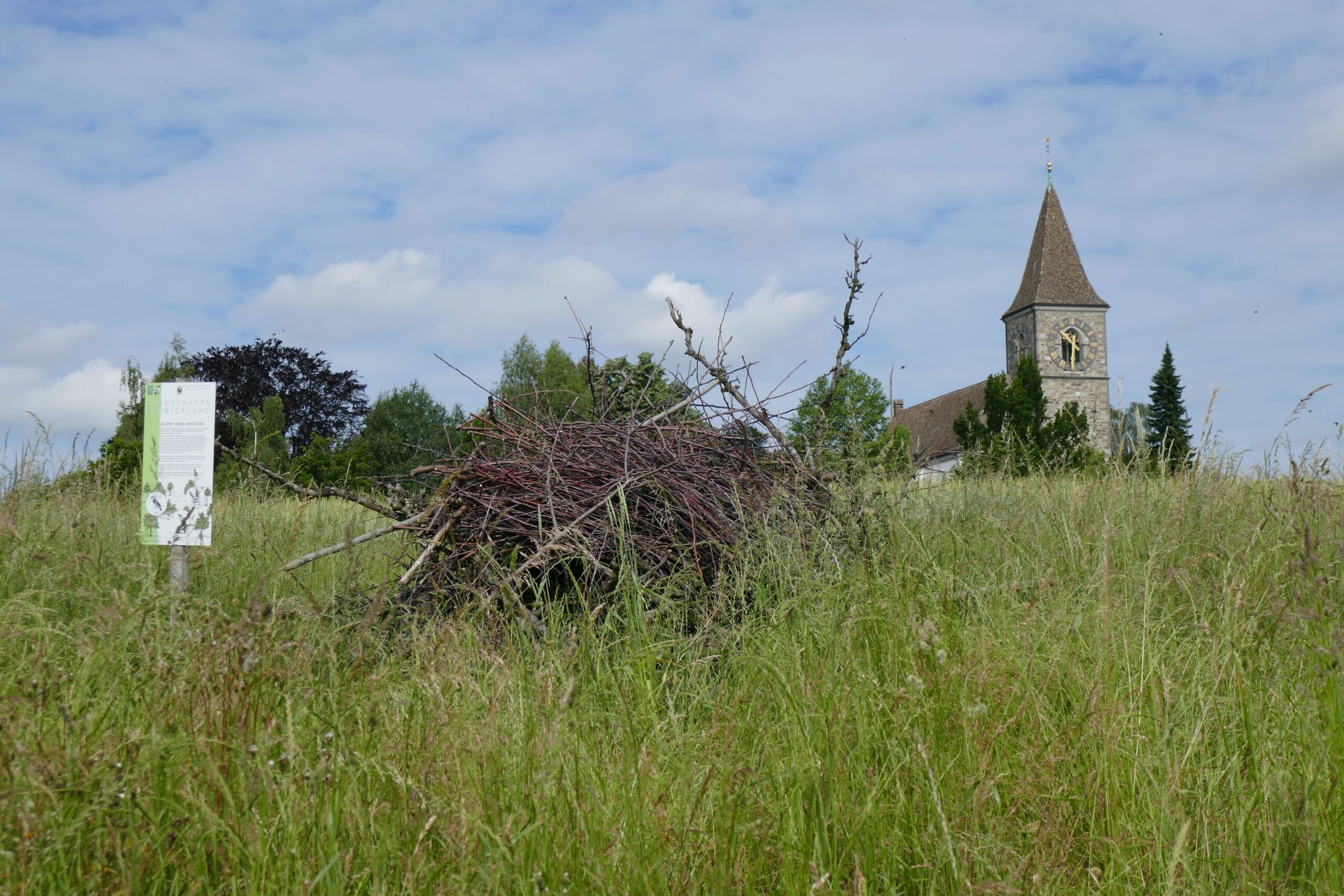Kirche Kilchberg mit Aststruktur
